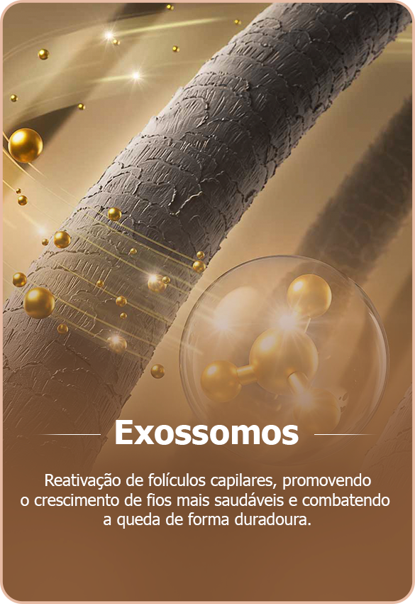 Carrossel-06.png